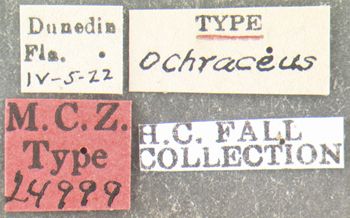 Media type: image;   Entomology 24999 Aspect: labels